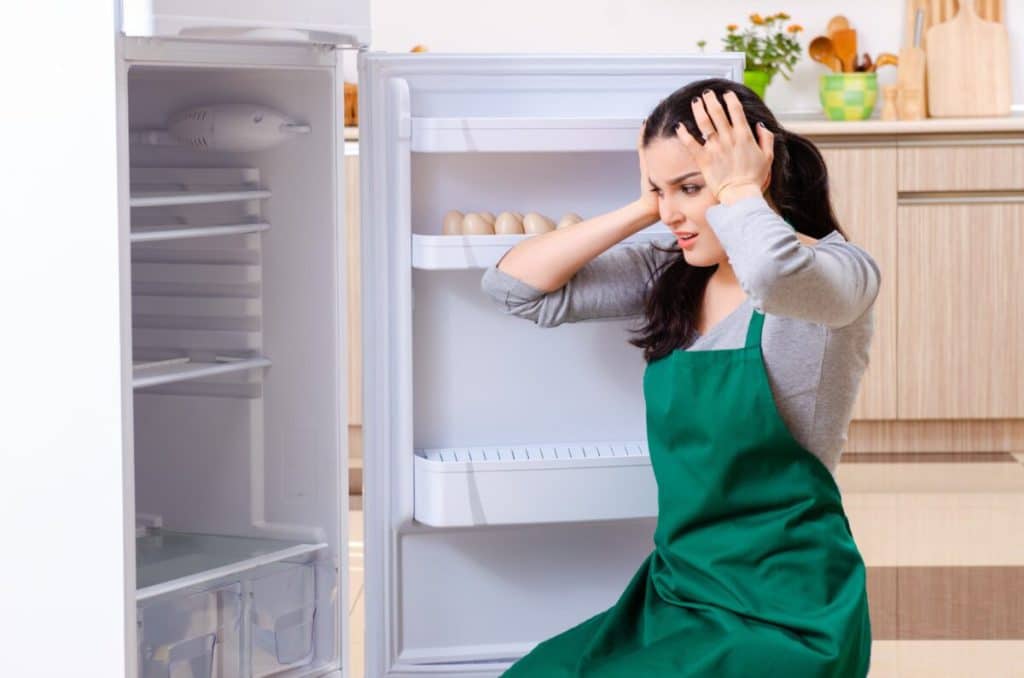 آیا شستن یخچال ضرر دارد؟